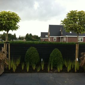 aanleg tuin